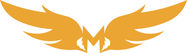 Ministry of T-shirt affairs logo